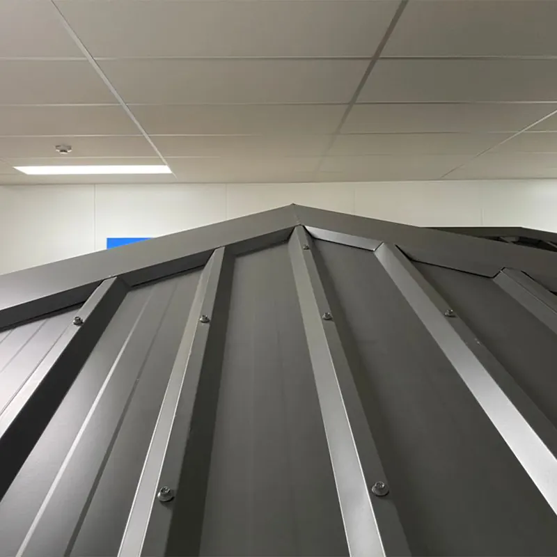 Dark Colorbond hip roof inside a commercial building