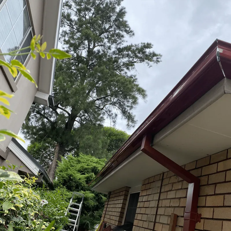 Replaced gutters and downpipe